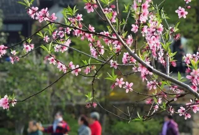 美国专为罕见病立法保险公司不得拒绝投保|火狐电竞(图3) 火狐电竞