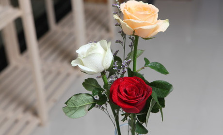 火狐电竞|日本人长寿的原因,你以为仅仅是饮食吗?(图2) 火狐电竞平台