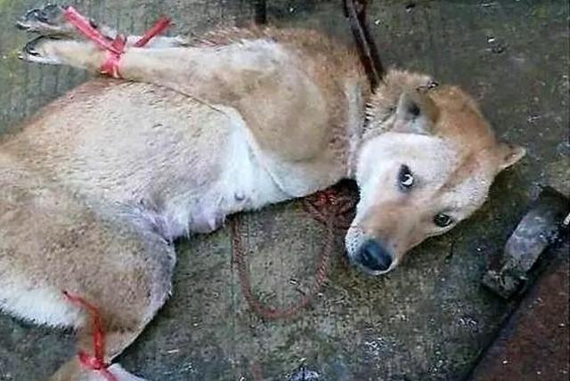 7月21日北京钢材市场价格行情【火狐电竞官网】(图1) 火狐电竞平台