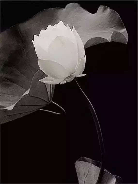 火狐电竞-(12月31日)“十三五”控制现代煤化工规模(图1) 火狐电竞平台