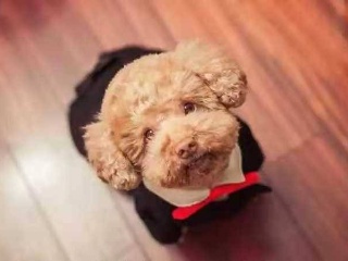 能源局回应:配额制等六举措将落地-火狐电竞平台(图1) 火狐电竞官网