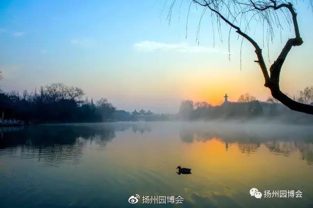 火狐电竞:外媒:中资开发商赴美造房子 瞄准中国买家(图1) 火狐电竞官网