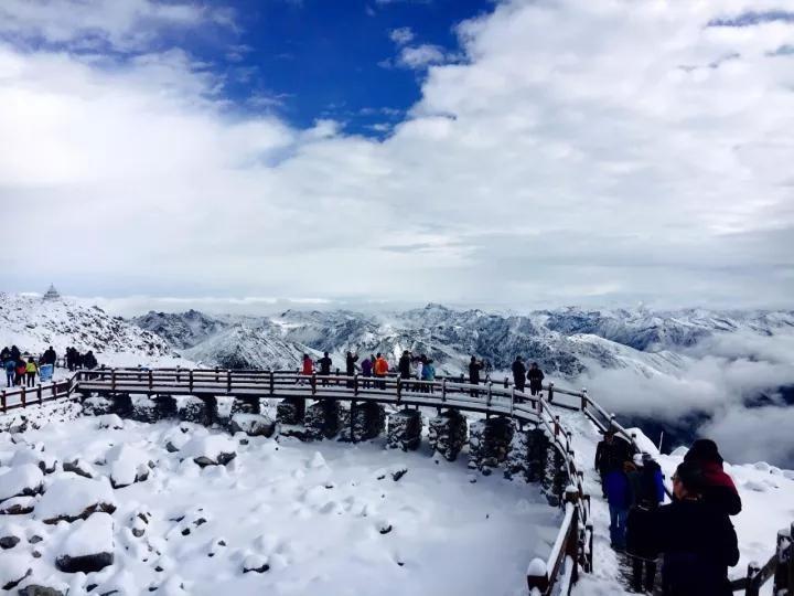 火狐电竞官网-沈阳学子国际机器人大赛夺冠(图3) 火狐电竞平台